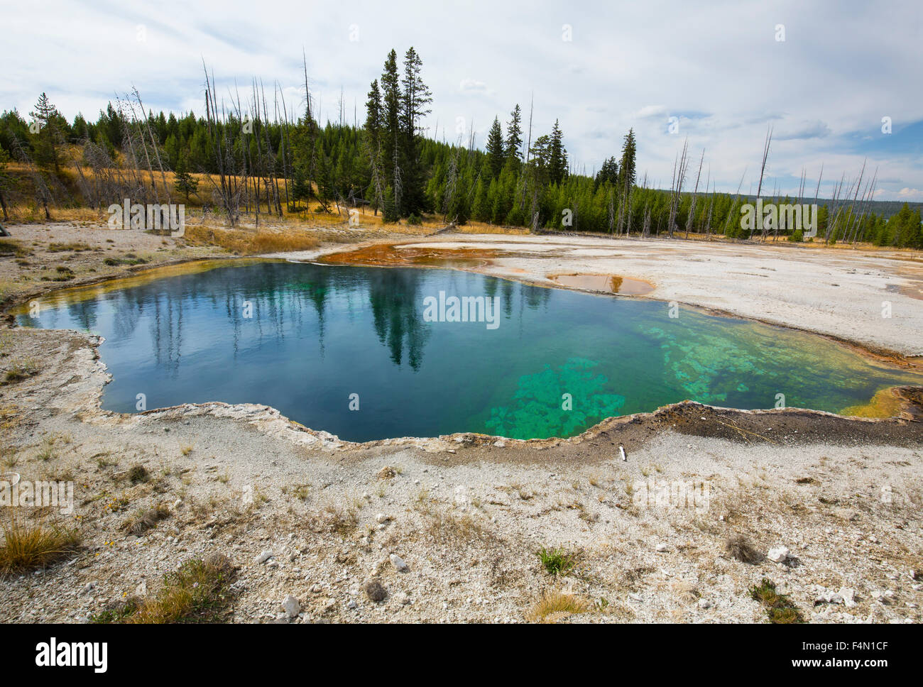 Hot springs avec de l'eau émeraude et bleu, comme un objectif dans la chaux sur les rives du Lac Yellowstone, Wyoming. Banque D'Images