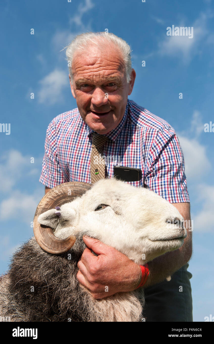 Moutons Herdwick montrant au comté de Westmorland show, Kendal, Cumbria. Banque D'Images
