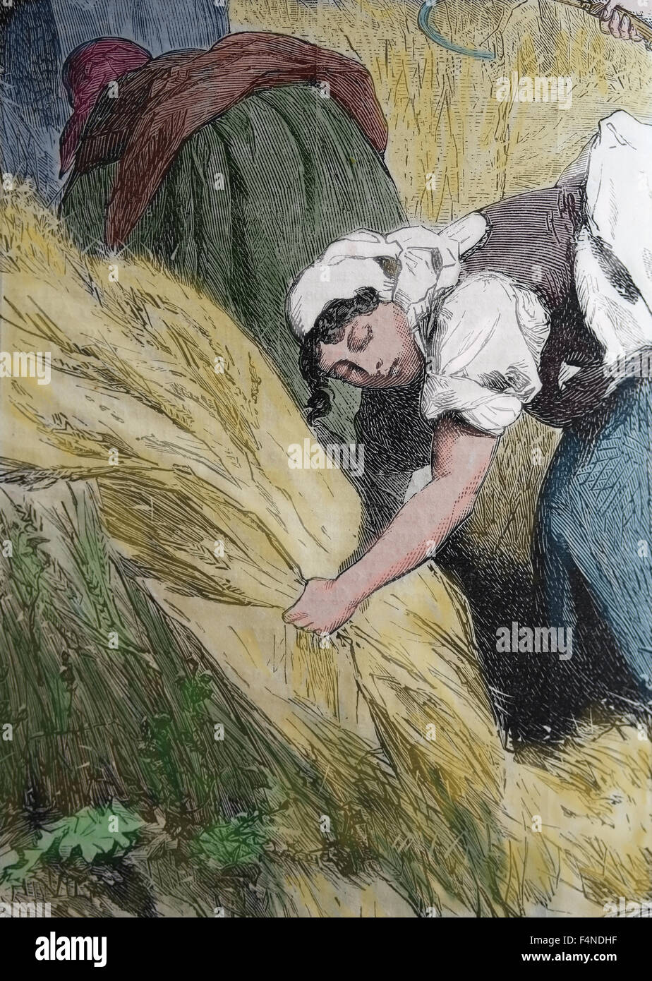 L'Europe. L'Espagne. Les douanes espagnoles. La récolte. Dessin par Valeriano Becquer et gravure de Rico. Almanach. L'illustration, l'Espagne. Banque D'Images