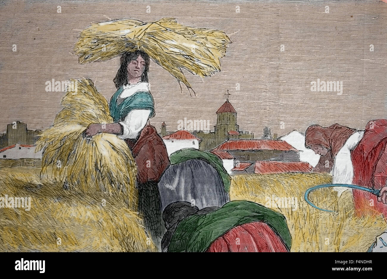 L'Europe. L'Espagne. Les douanes espagnoles. La récolte. Dessin par Valeriano Becquer et gravure de Rico. Almanach. L'illustration, l'Espagne. Banque D'Images