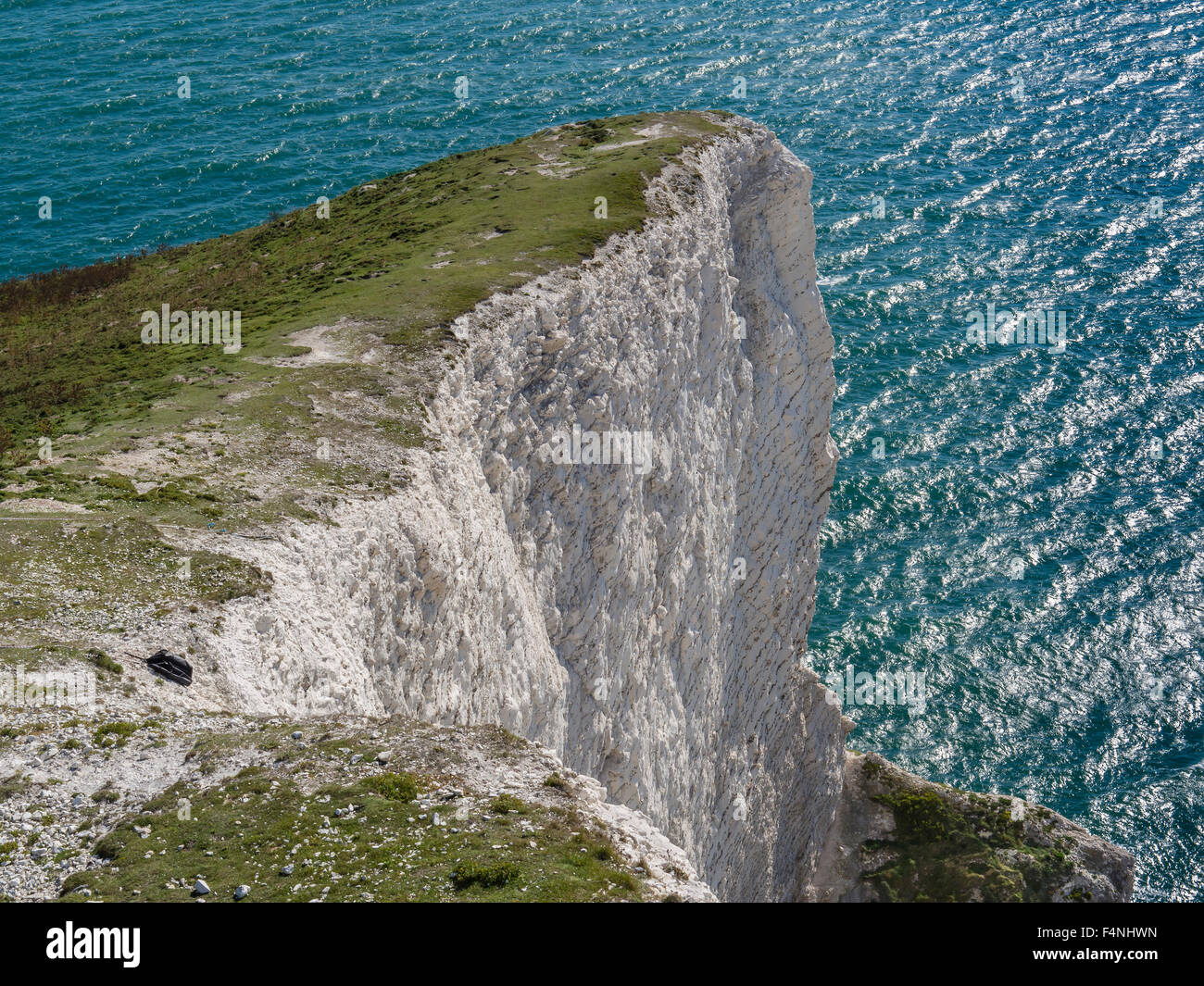 La haute falaise de craie près de l'aiguille, Scratchell's Bay, île de Wight, Angleterre, RU Banque D'Images