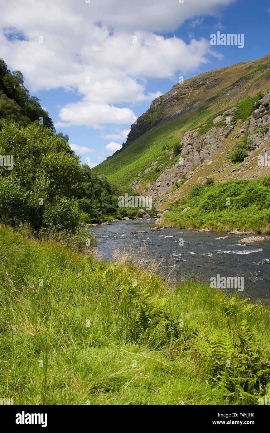 Vue paysage de rivière à Gwenffrwd-Dinas, Carmarthenshire, Pays de Galles, Royaume-Uni en août 2005. Banque D'Images