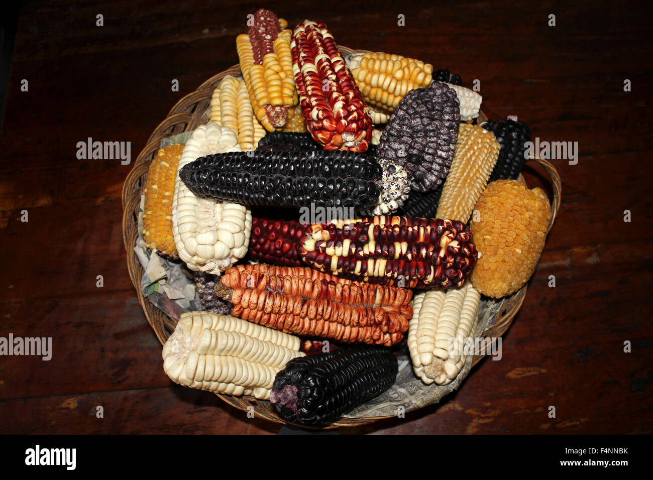Variétés de maïs Inca Banque D'Images