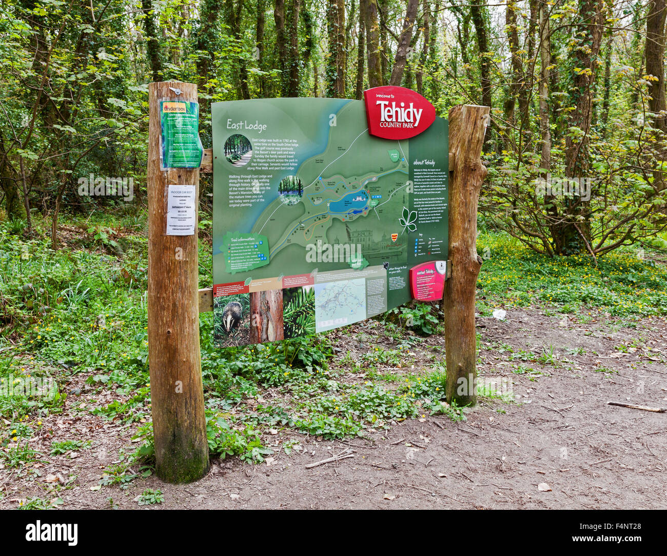 Un poteau de signalisation en Tehidy Country Park près de Portreath Cornwall West Country England UK Banque D'Images