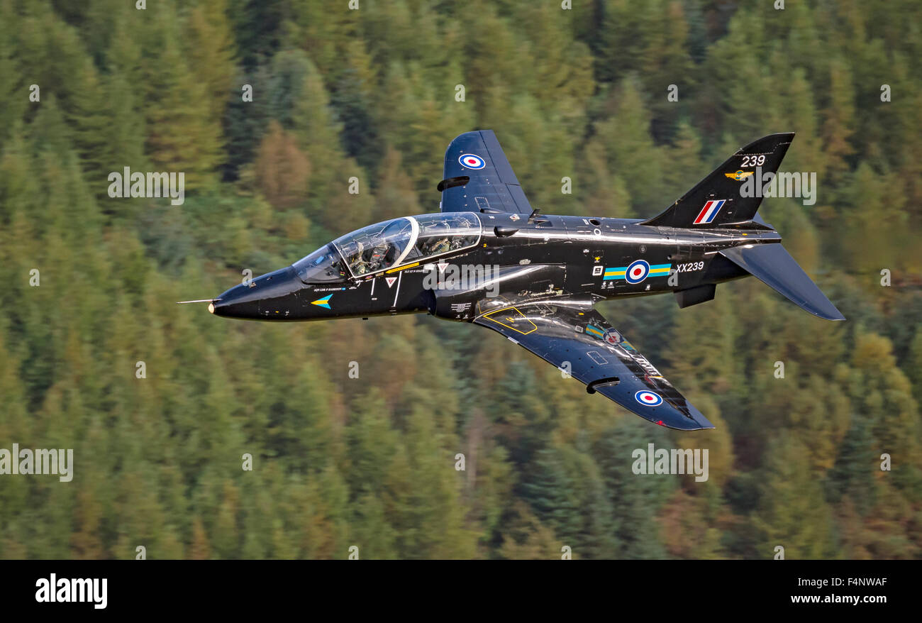 RAF Hawk T1 de vol à basse altitude des avions au Pays de Galles Banque D'Images