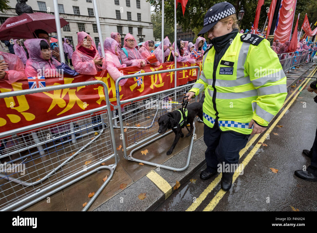 Londres, Royaume-Uni. 21 octobre, 2015. Pro-Chinese les partisans du gouvernement n'attendez que le président Xi Jinping pour arriver à Downing Street, le deuxième jour de sa visite officielle au Royaume-Uni Crédit : Guy Josse/Alamy Live News Banque D'Images