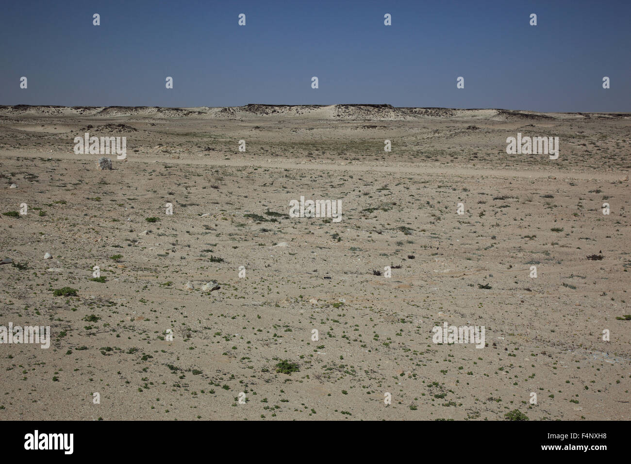 Le paysage dans le quart vide, ar-Rub Al Khali, 'Oman Banque D'Images