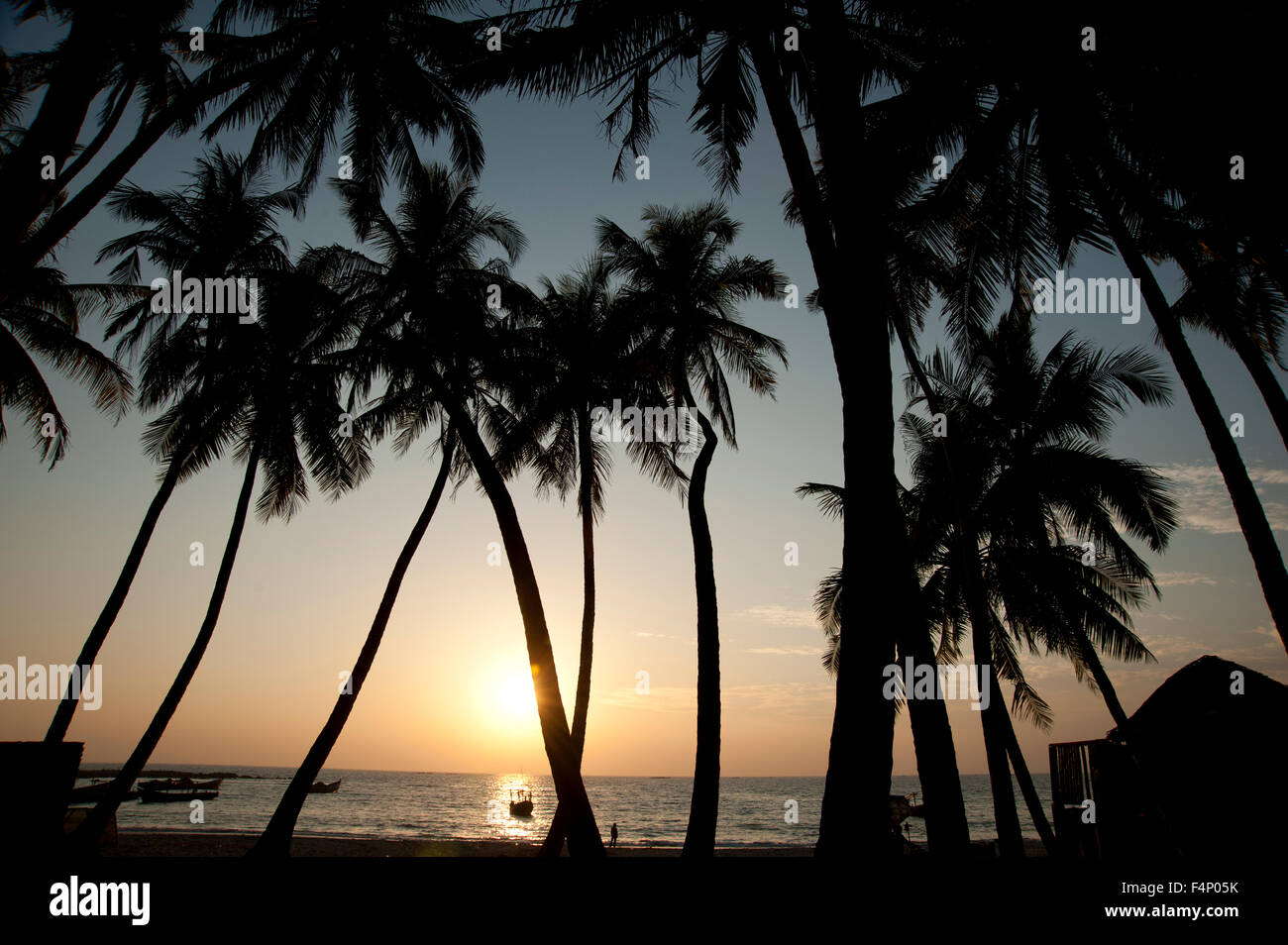 La silhouette des cocotiers encadrent la lueur coucher du soleil sur l'horizon à la plage de Ngapali Myanmar Banque D'Images