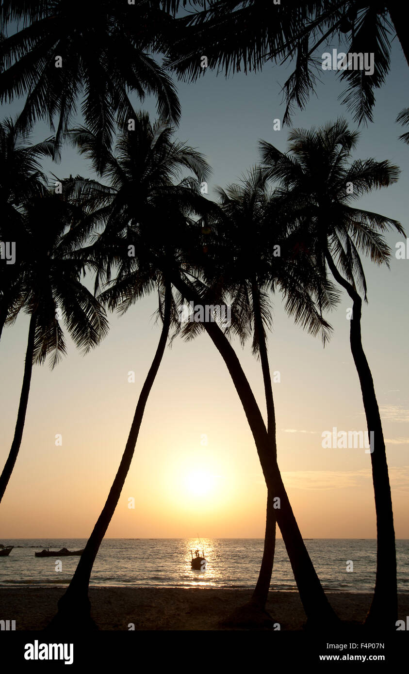 La silhouette des cocotiers encadrent la lueur coucher du soleil sur l'horizon à la plage de Ngapali Myanmar Banque D'Images