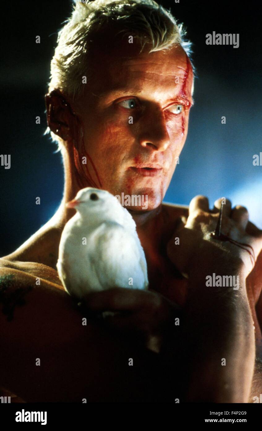 Rutger Hauer / Blade Runner 1982 réalisé par Ridley Scott Banque D'Images