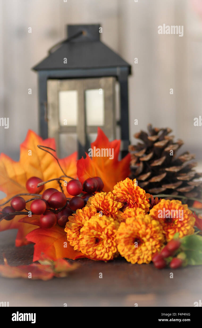 De l'automne ou fleurs d'automne, pomme de pin et de baies avec des feuilles d'oranger et de la lanterne sur un fond de bois vintage avec une faible profondeur o Banque D'Images