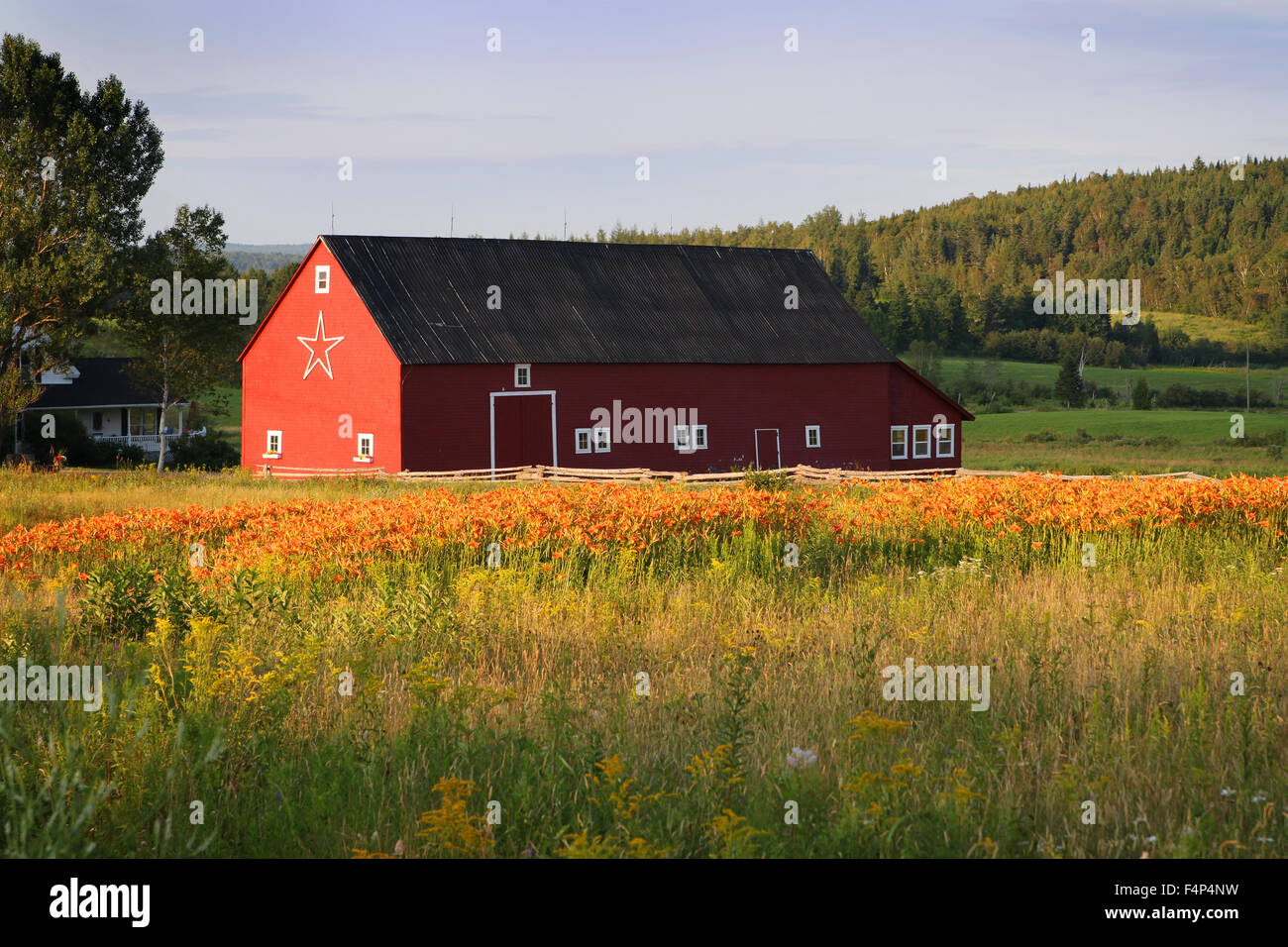 Grange dans les régions rurales du Nouveau-Brunswick, Canada, au coucher du soleil Banque D'Images