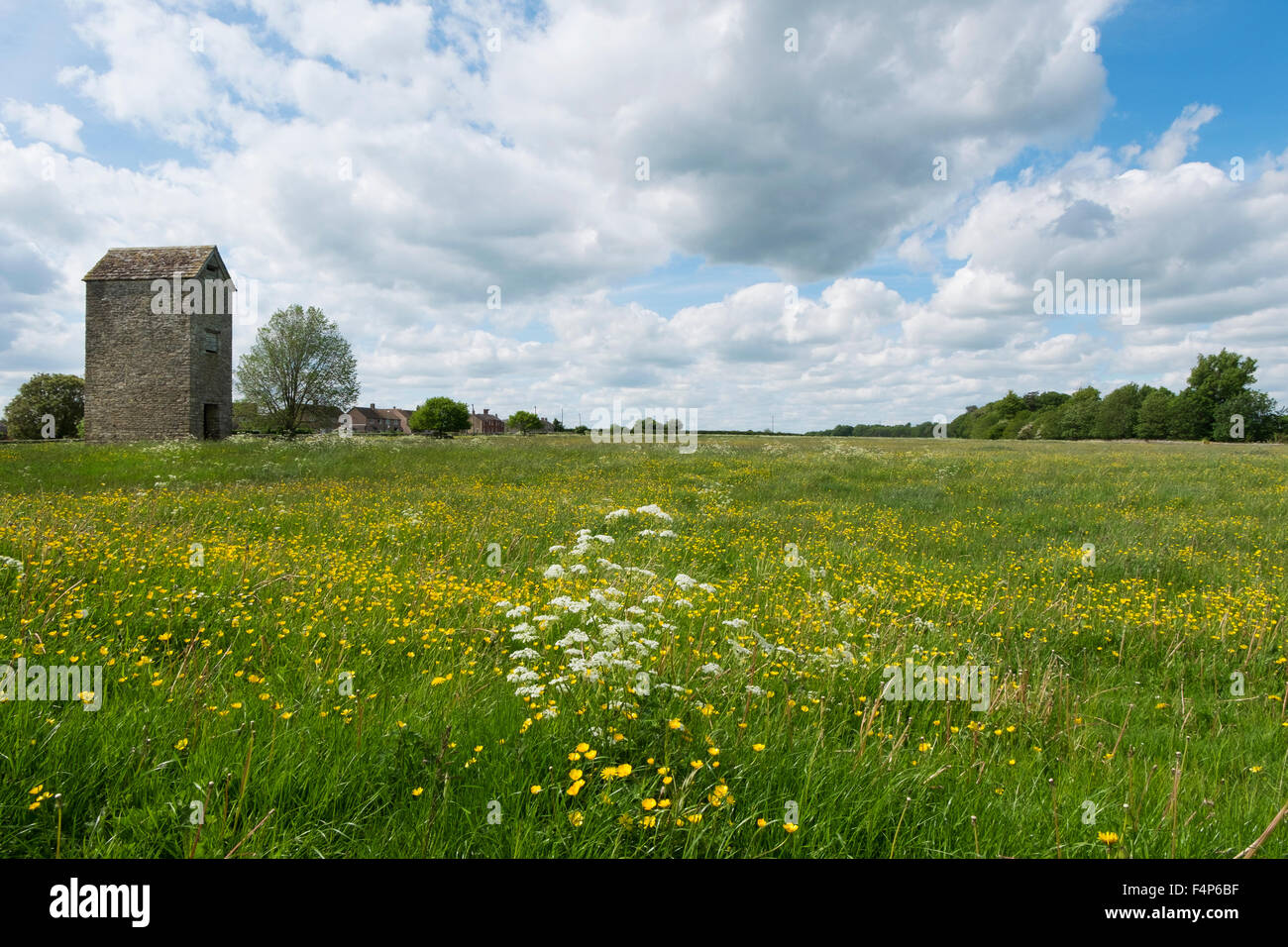 Grange à foin dans un champ de renoncules à Fairford, Gloucestershire, Royaume-Uni Banque D'Images