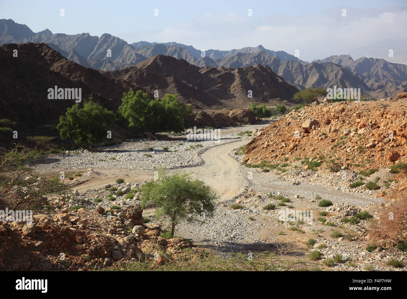 Dans l'oued Al-Jabal al Akhdar, région de Batinah, Oman Banque D'Images