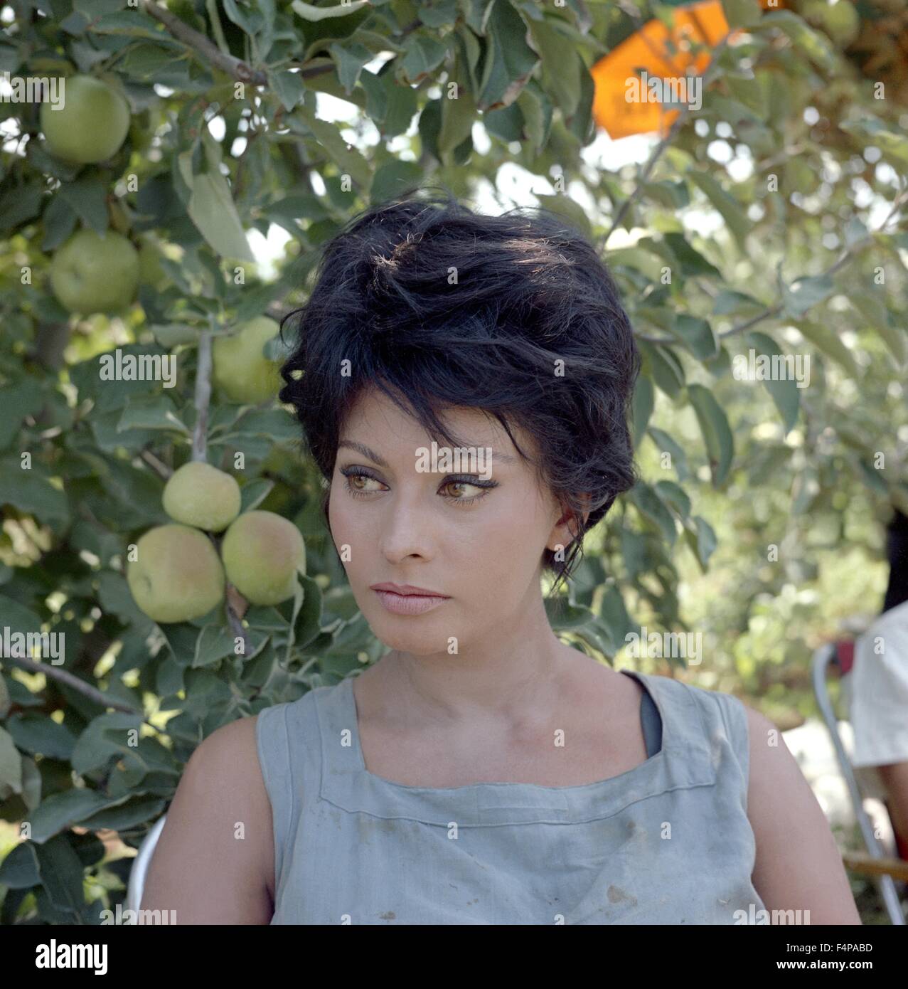 Sophia Loren / Judith 1966 réalisé par Daniel Mann Banque D'Images