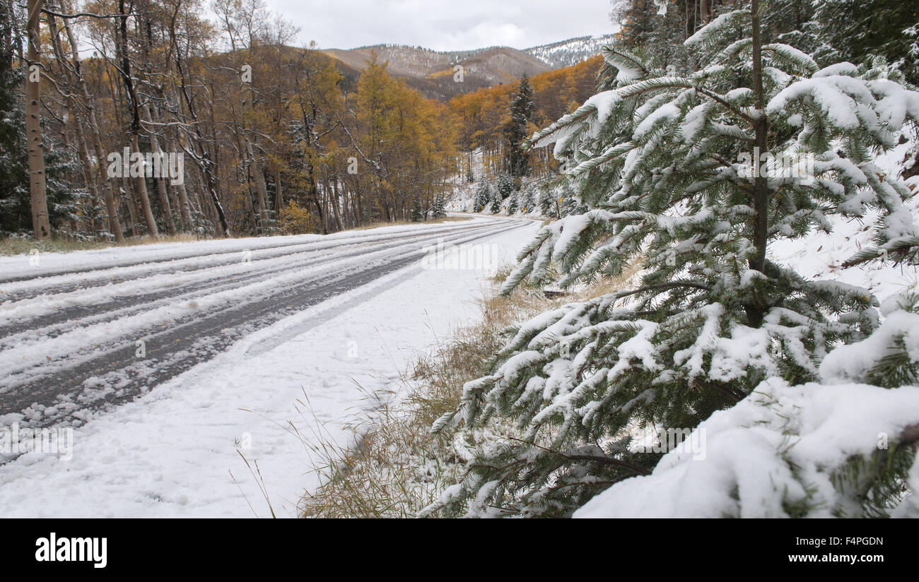 Usa. 21 Oct, 2015. La tempête qui traverse le nord du Nouveau Mexique a laissé plusieurs pouces de neige à haute altitude des montagnes Sangre de Cristo et Hyde Park Road, le mercredi 21 octobre, 2015. © Eddie Moore/Albuquerque Journal/ZUMA/Alamy Fil Live News Banque D'Images