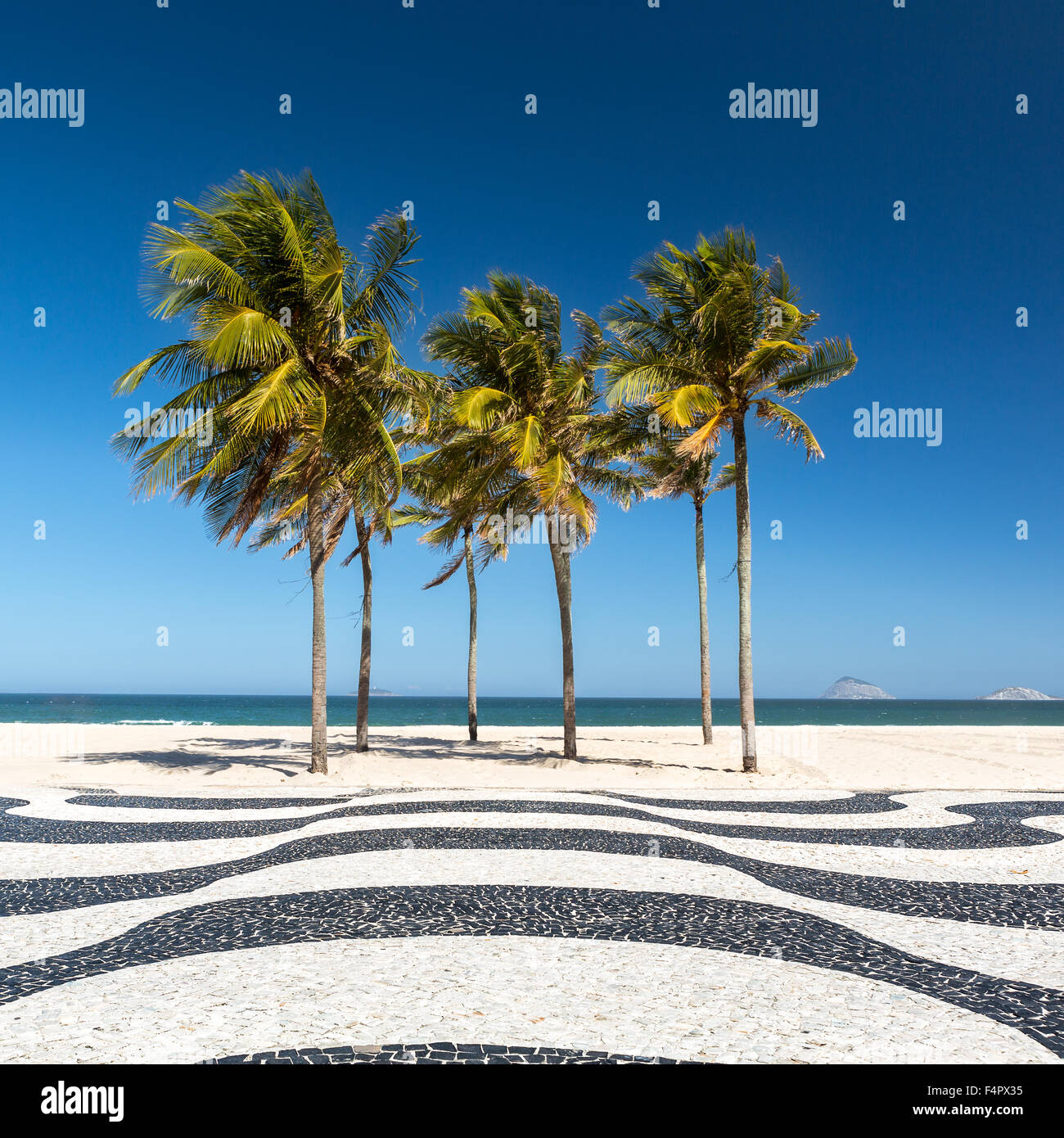 Palmiers et de la célèbre plage de Copacabana mosaic trottoir, à Rio de Janeiro, Brésil. Banque D'Images