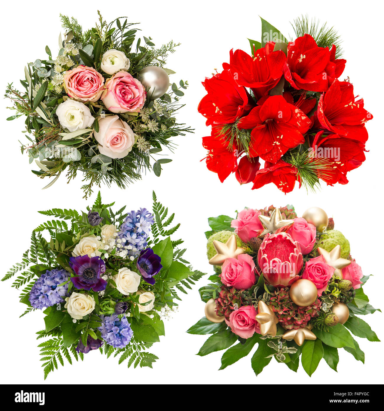 Bouquet de fleurs pour les fêtes de Noël et du Nouvel An. Roses, amaryllis,  jacinthe, Protea isolé sur fond blanc Photo Stock - Alamy