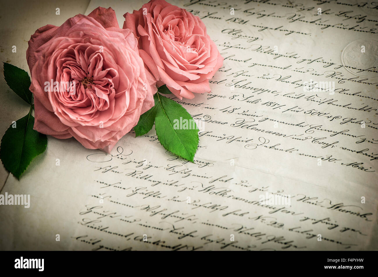 Rose rose fleurs et vieille lettre manuscrite. Vintage paper background. Retro style tonique photo avec vignette. Selective focus Banque D'Images