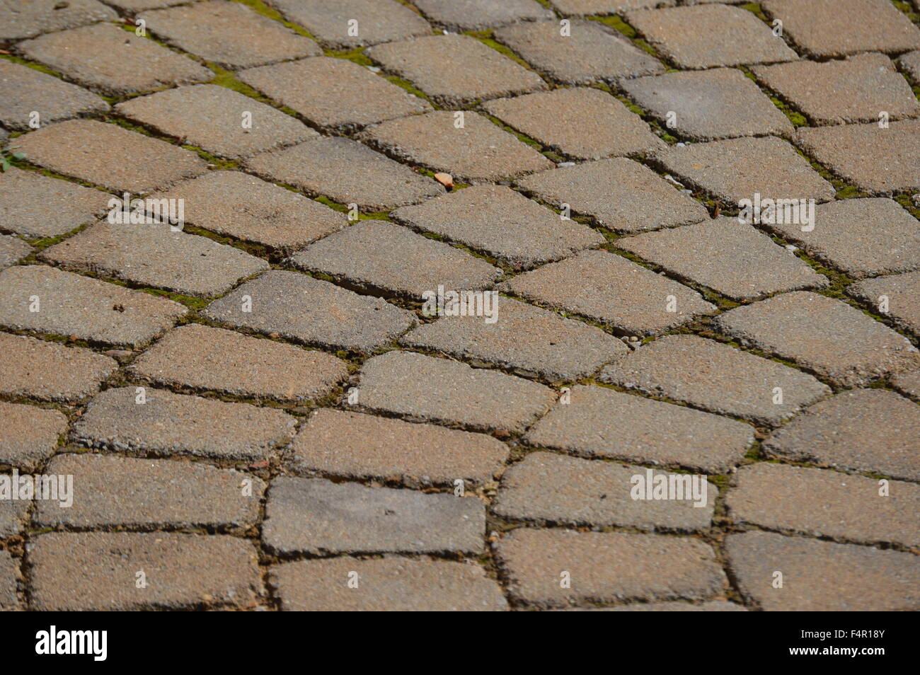 Briques circulaires sur une voie Banque D'Images