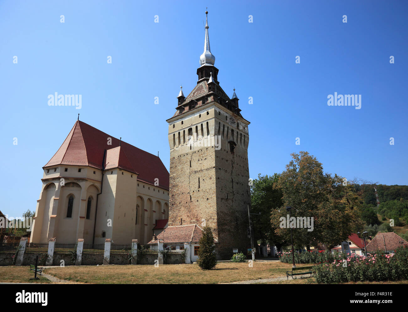 Église protestante construite dans le style gothique de 1496 à Saschiz, est un village de Transylvanie, Roumanie Banque D'Images