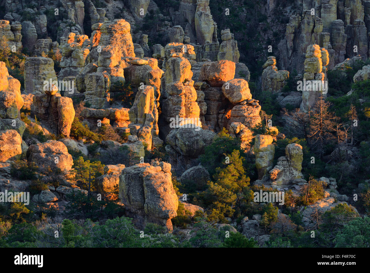 USA, United States, Amérique du Nord, l'Arizona, Wilcox, Chiricahua, Monument National, park, apache, fief, Hoodoo, nature, Geronimo Banque D'Images