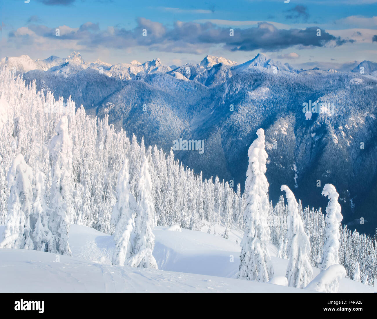 Le Canada, la Colombie-Britannique, le District de North Vancouver, Mount Seymour, pics des montagnes, frais, neige, hiver, vallée, montagne, m Banque D'Images