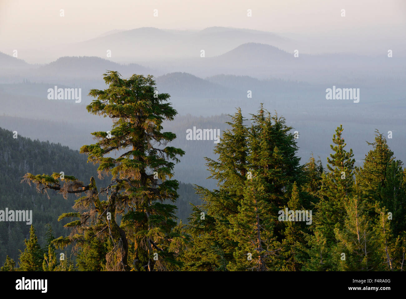 USA, United States, Amérique du nord, nord-ouest du Pacifique, de l'Oregon, cascades, forêt nationale, Newberry, monument national, volcanique, forêt Banque D'Images