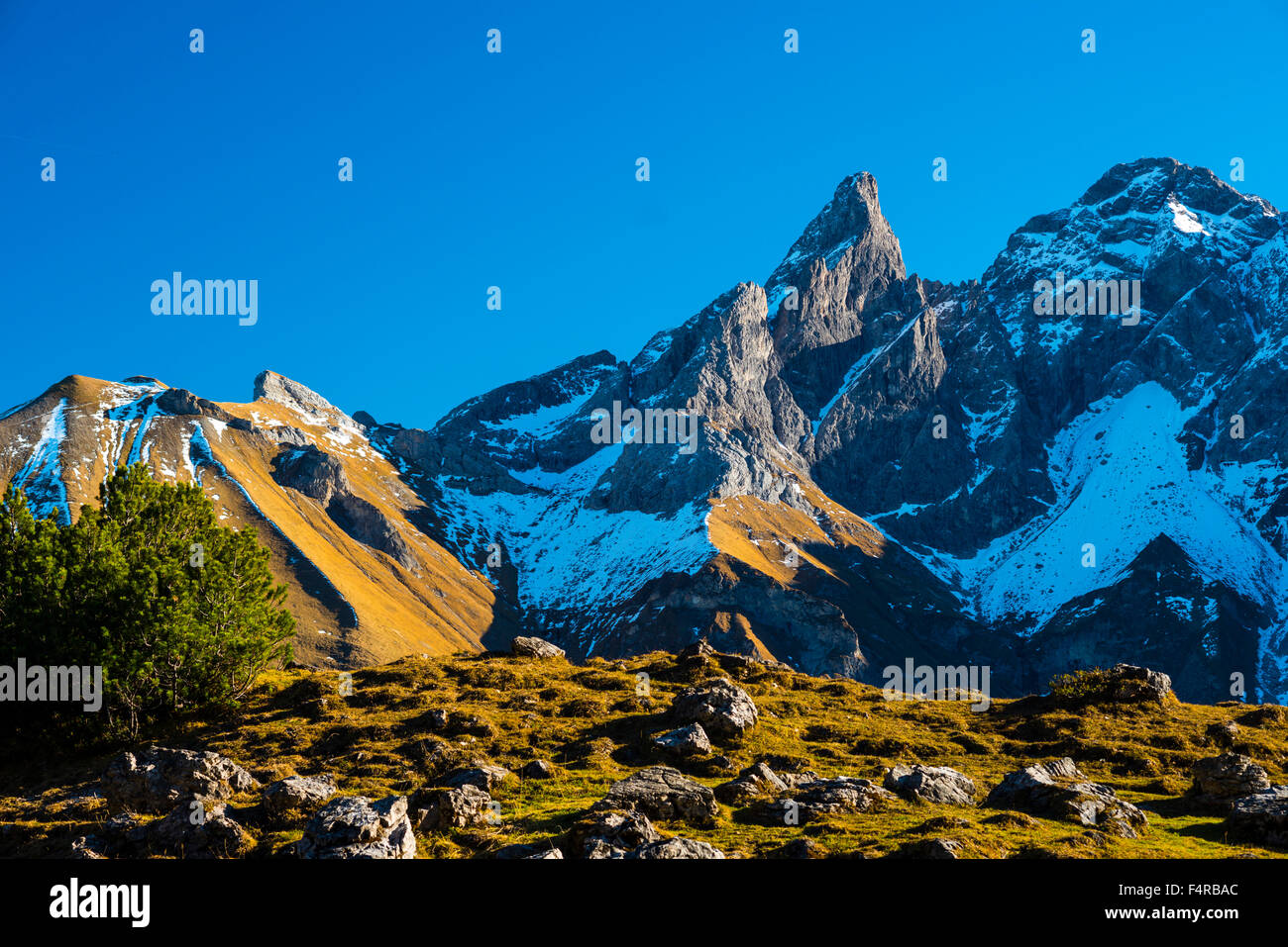 Allgäuer Alpen, Allgäu, Alpes, à l'extérieur, Bavaria, montagne, paysage de montagne, lac de montagne, Bockkarkopf, Allemagne, Europe, moun Banque D'Images