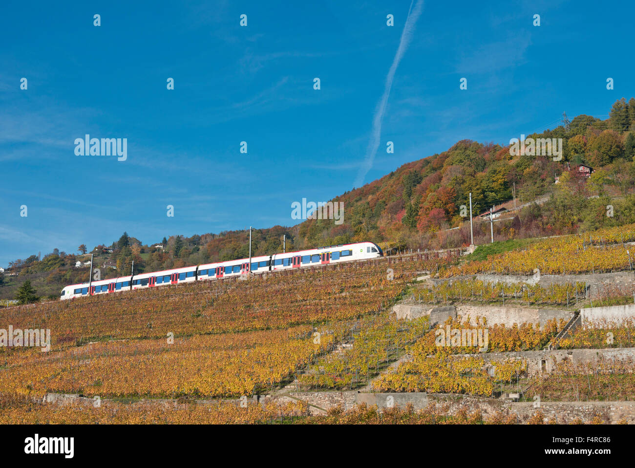 La Suisse, patrimoine mondial, le patrimoine culturel, la culture du vin, vignes, vin, transport, ferroviaire, train, fonction, l'automne, Banque D'Images