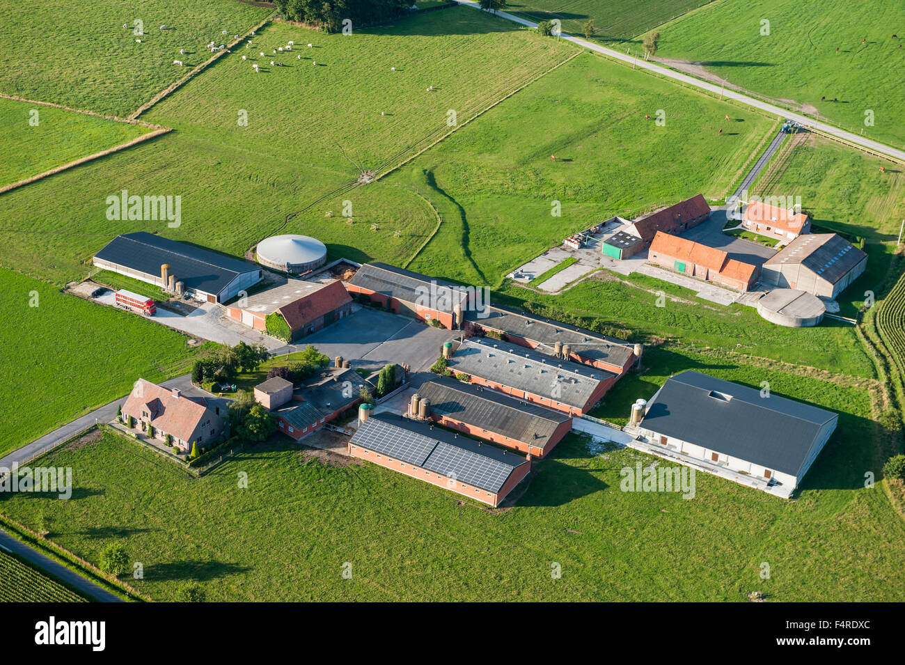 Image aérienne de ferme avec une porcherie et de l'élevage à la frontière franco-belge Banque D'Images