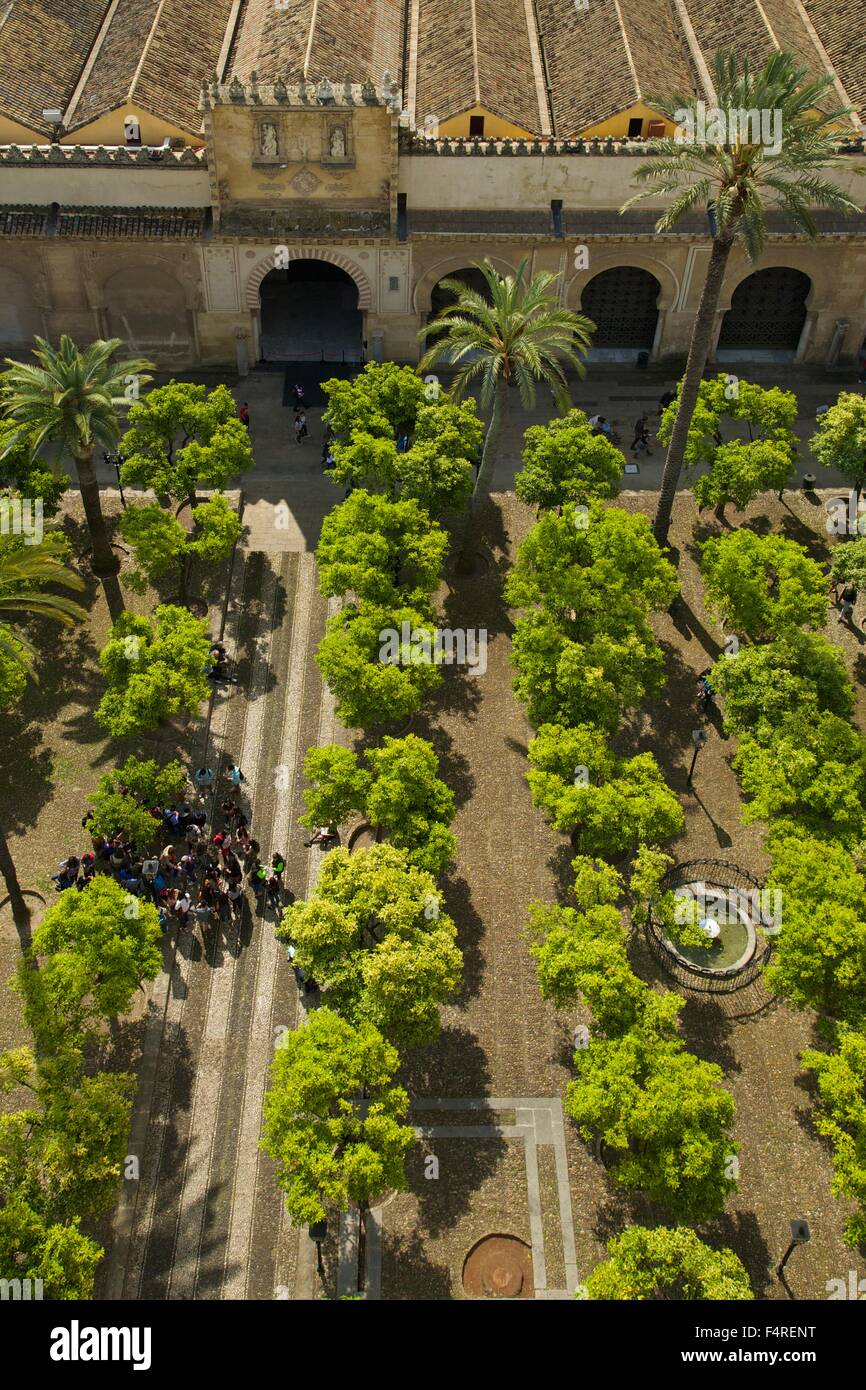 Patio de los Naranjos, Orange Tree, le jardin de la tour de la cloche