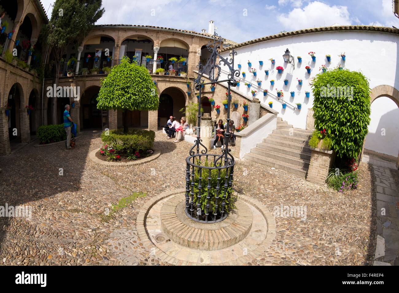 Shop et jardins en cour, quartier juif, Cordoue, Andalousie, Espagne, Europe Banque D'Images