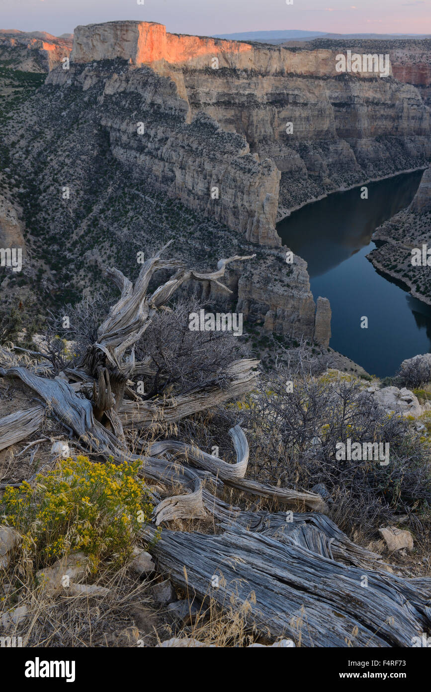 Vue de la rivière Bighorn Canyon à Bighorn, Montana, USA Banque D'Images