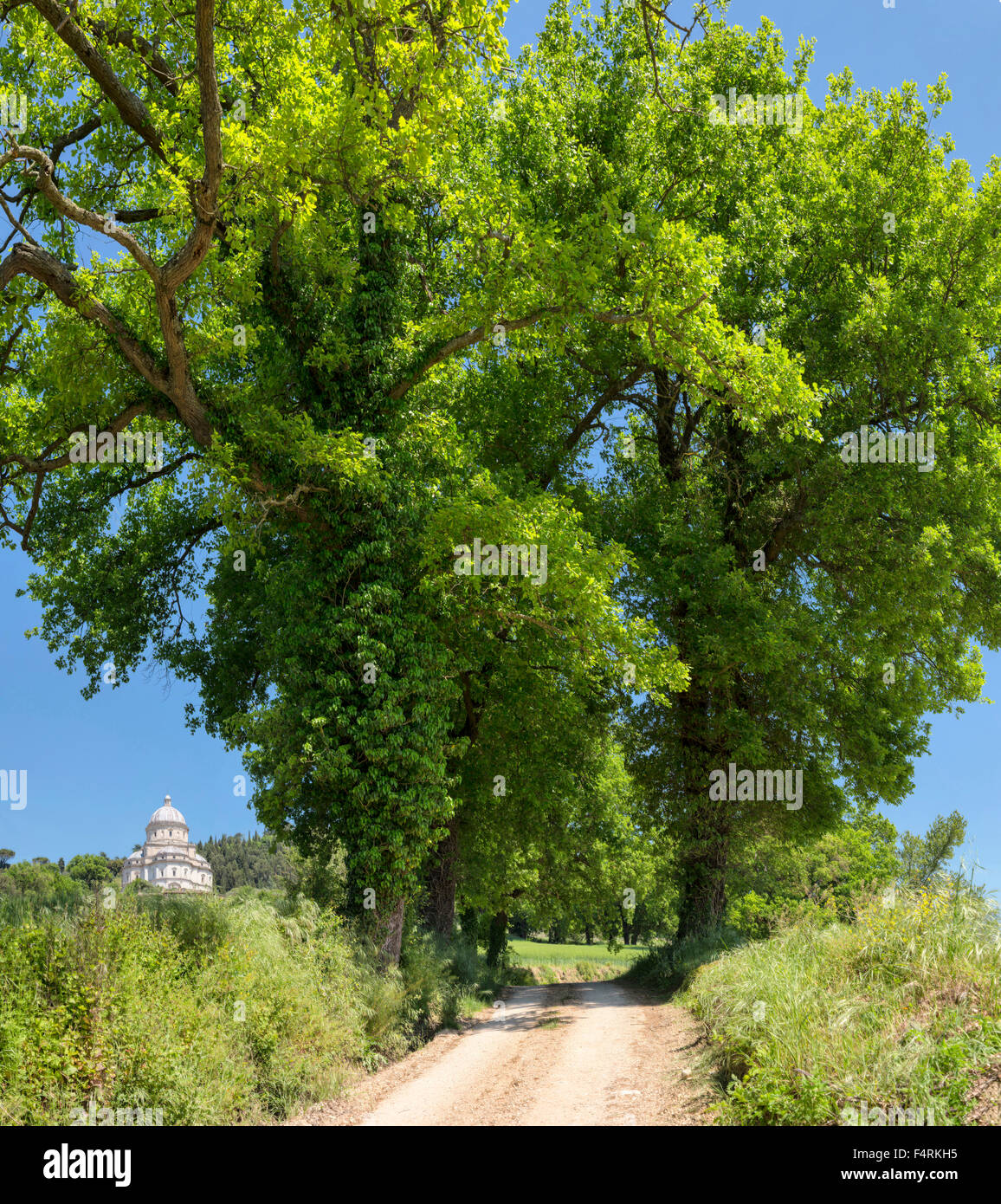 L'Italie, l'Europe, de l'Ombrie, Todi, paysage, forêt, bois, arbres, printemps, église, Parco Fluviale del Tevere, temple, Santa Maria dell Banque D'Images