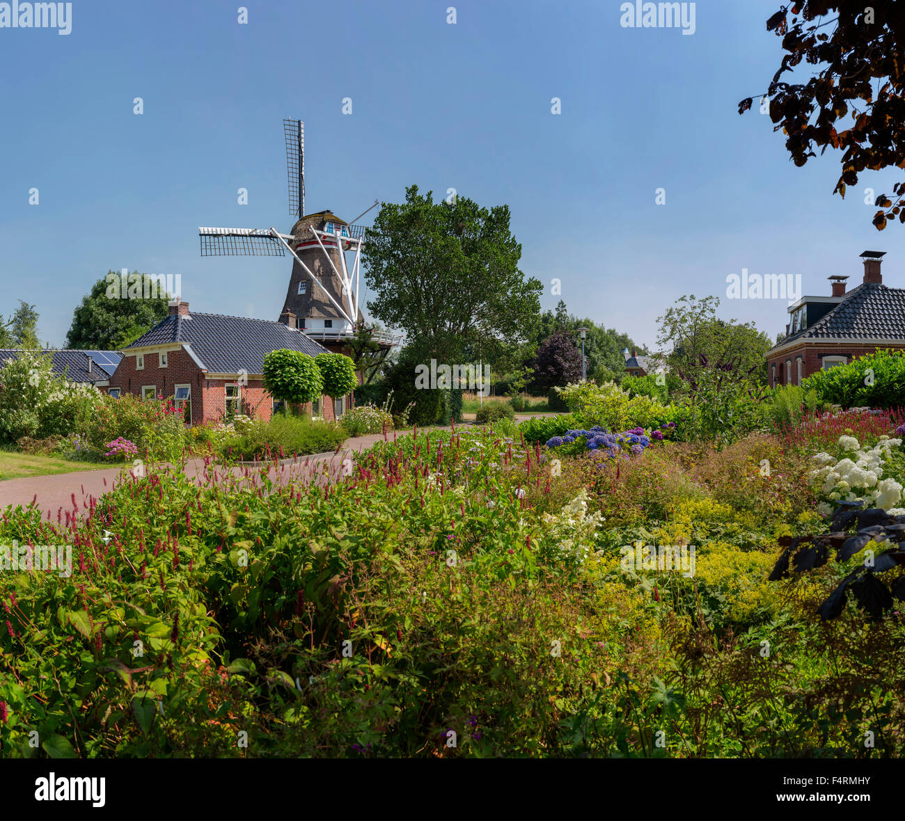 Pays-bas, Europe, Hollande, Zandweer, Groningen, moulin, ville, village, fleurs, été, jardins, de Windlust Banque D'Images