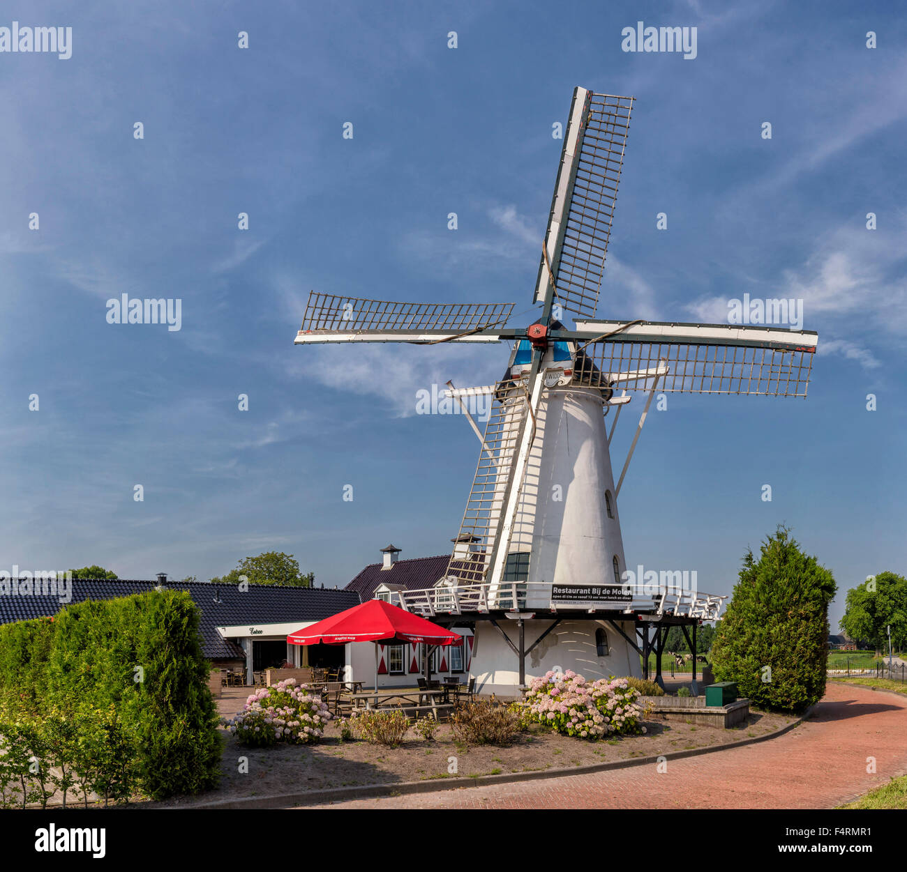 Pays-bas, Europe, Hollande, dix postes, Groningen, moulin, fleurs, été, Olle Widde Banque D'Images