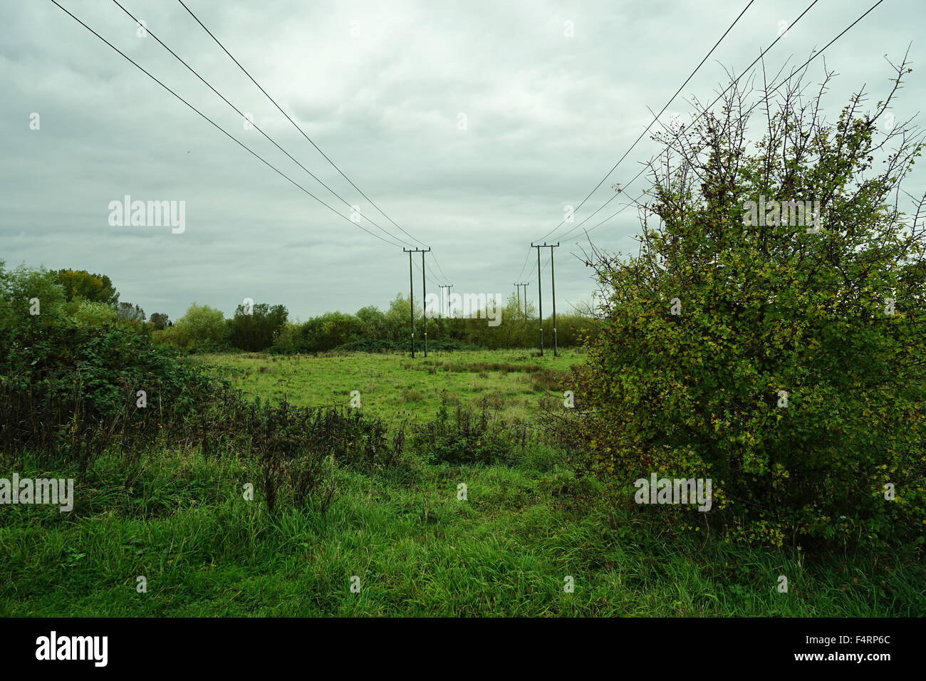 Pylônes électriques dans des champs verts, Angleterre Royaume-uni câbles électriques Câbles aériens d'alimentation d'énergie électrique Banque D'Images