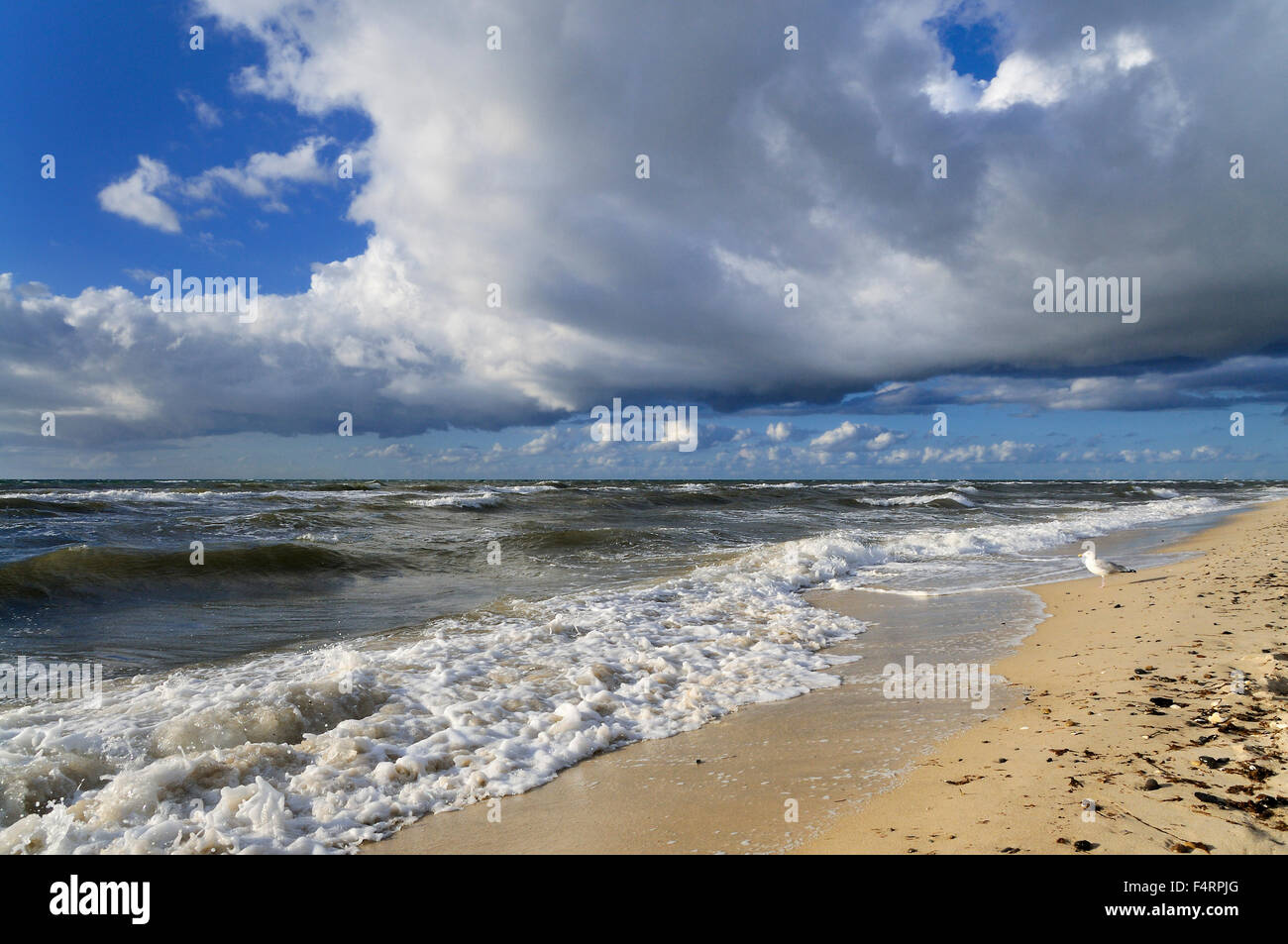 Les nuages bas sur la plage ouest, Darss, Poméranie occidentale Lagoon Salon National Park, Mecklembourg-Poméranie-Occidentale, Allemagne Banque D'Images
