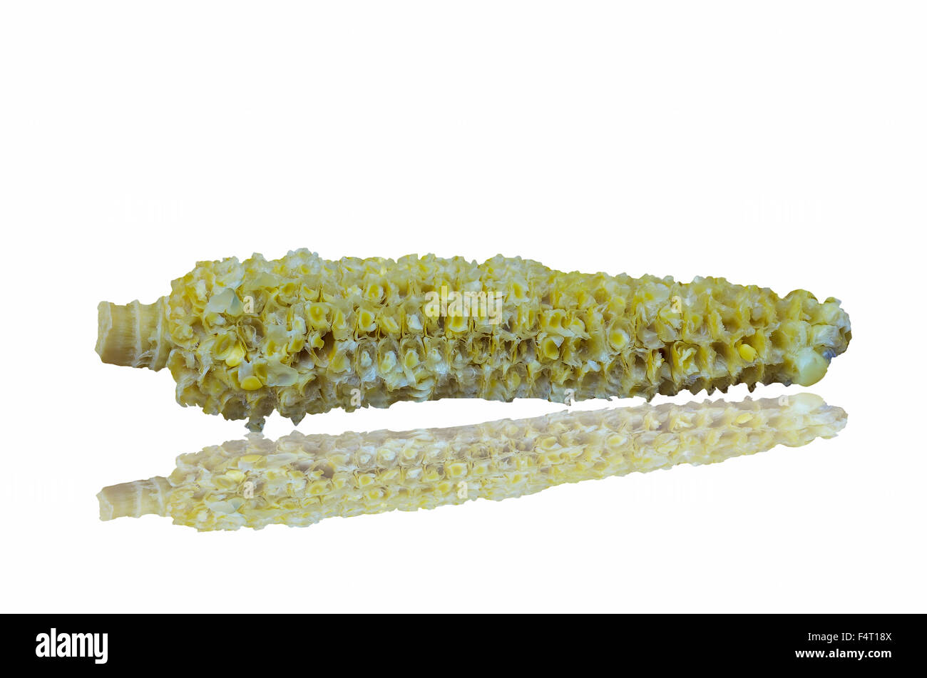 Épis de maïs sur fond blanc Banque D'Images