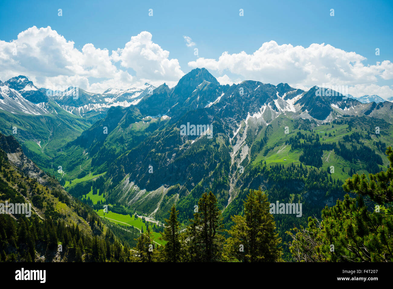 Allgäu, Alpes d'Allgäu, l'herbe de l'Allgäu, montagne, Alpes, destination, forêt de protection, près de Bavière Oberstdorf, mountain, montagne Banque D'Images