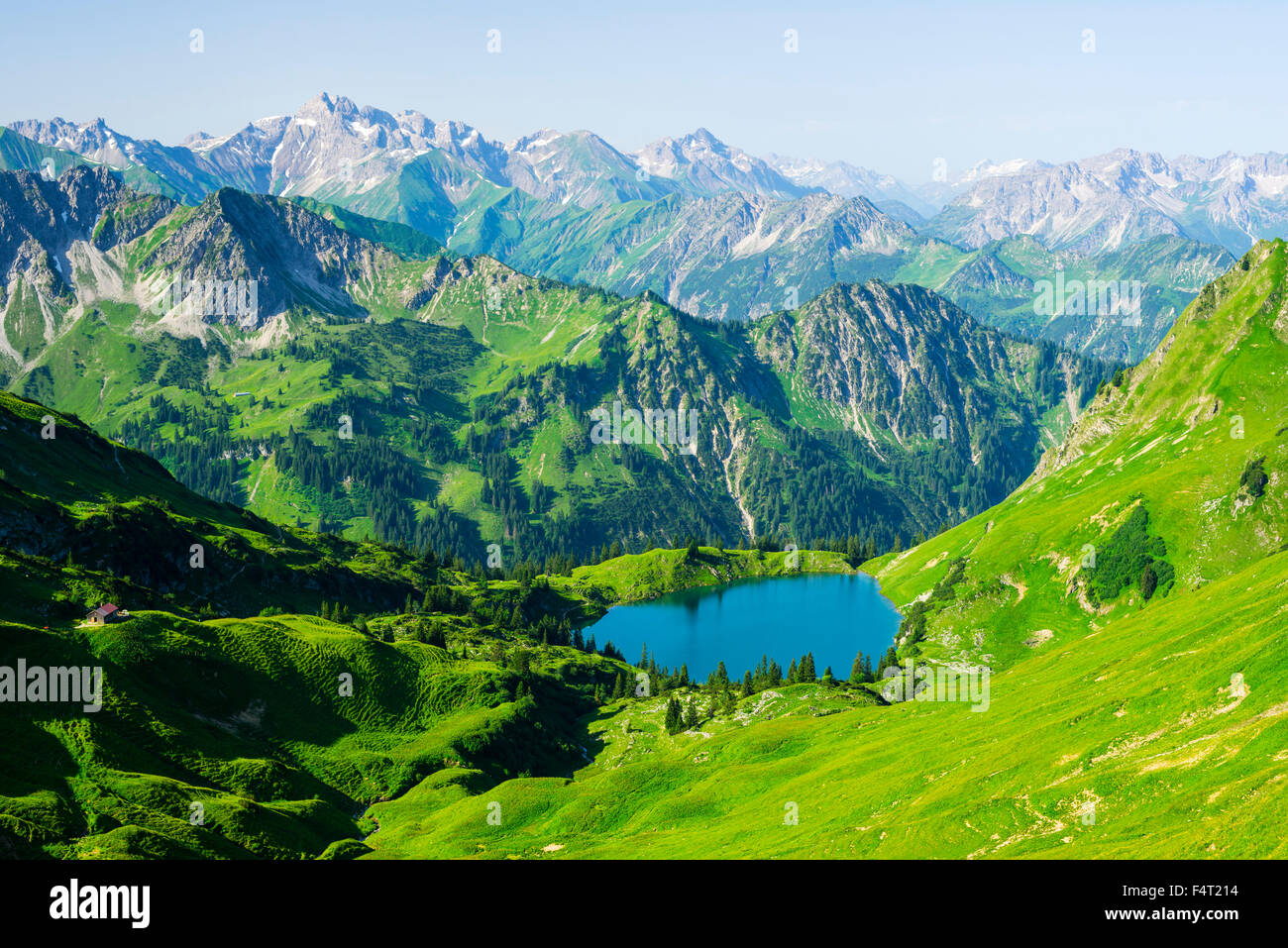 Allgäu, Alpes d'Allgäu, ALP, paysages de prairies alpines, Alp, Alpes, Bavaria, près de Oberstdorf, paysage de montagne, lac de montagne, Germ Banque D'Images