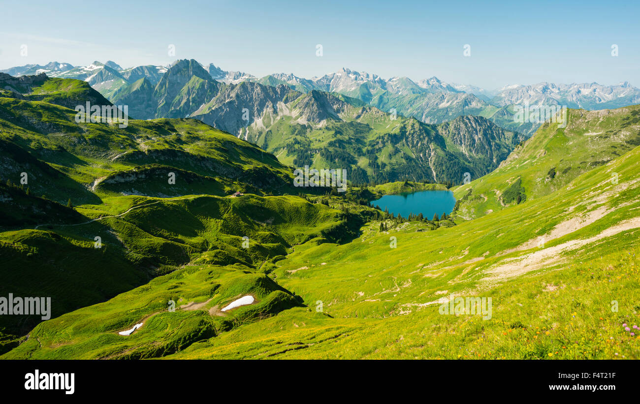 Allgäu, Alpes d'Allgäu, ALP, paysages de prairies alpines, Alp, Alpes, Bavaria, près de Oberstdorf, montagne, paysage, montagne montagne Banque D'Images