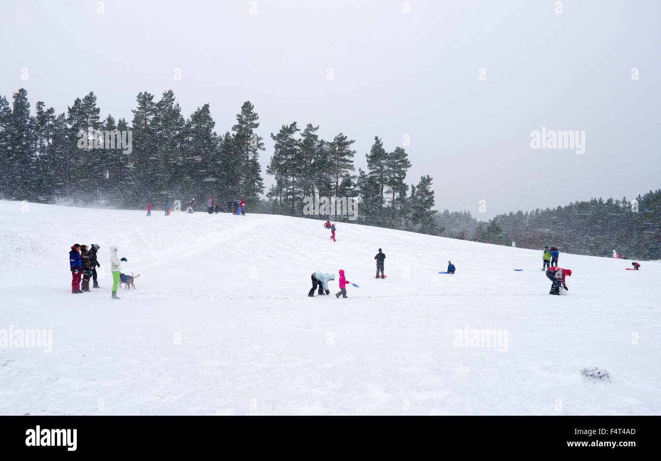 Les gens dans la neige pendant une tempête à foin, une aire de loisirs populaire dans Glenmore Forest Park, les Cairngorms Banque D'Images