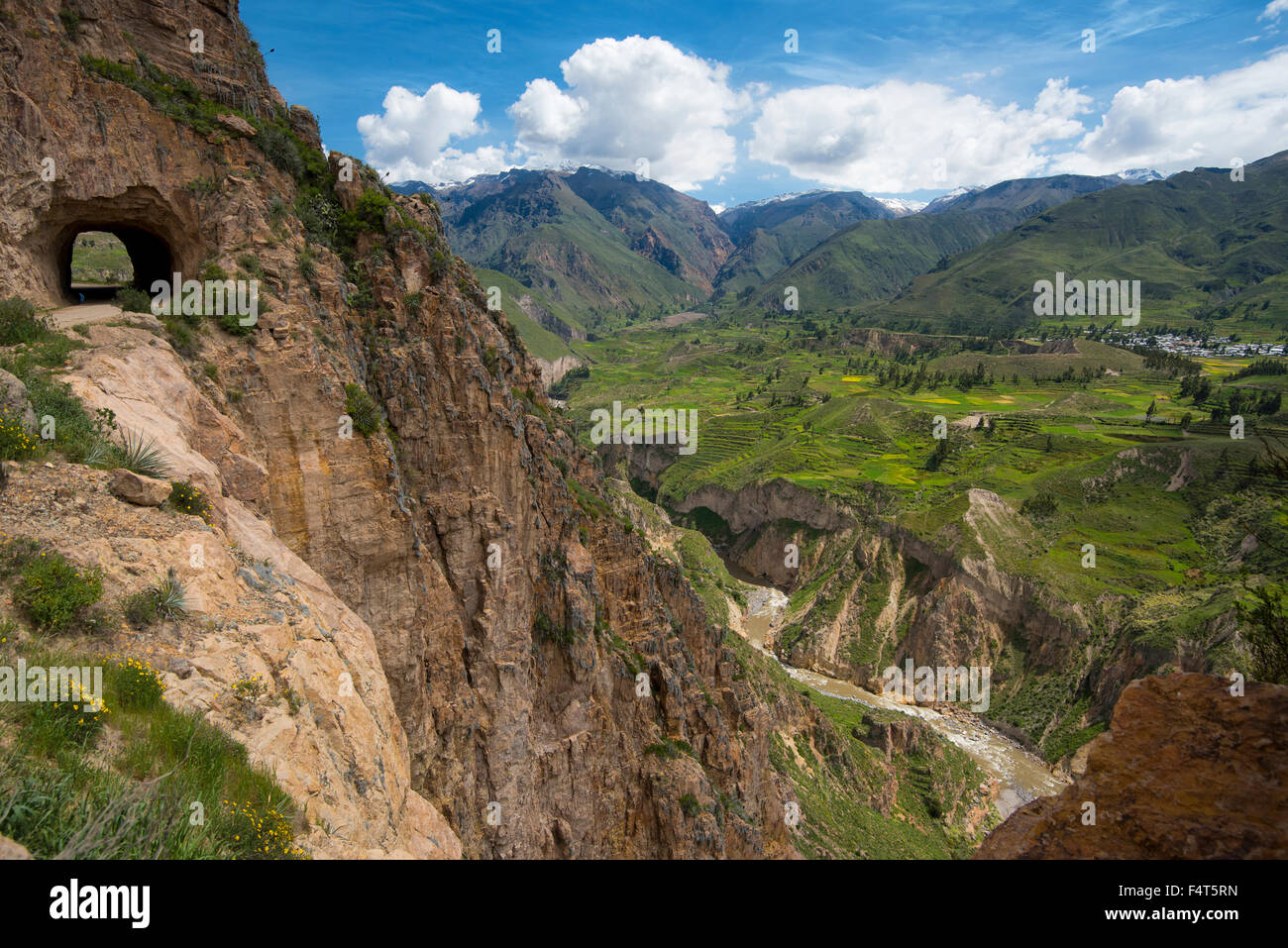 Amérique du Sud, Amérique latine, Pérou, Canyon de Colca, Banque D'Images