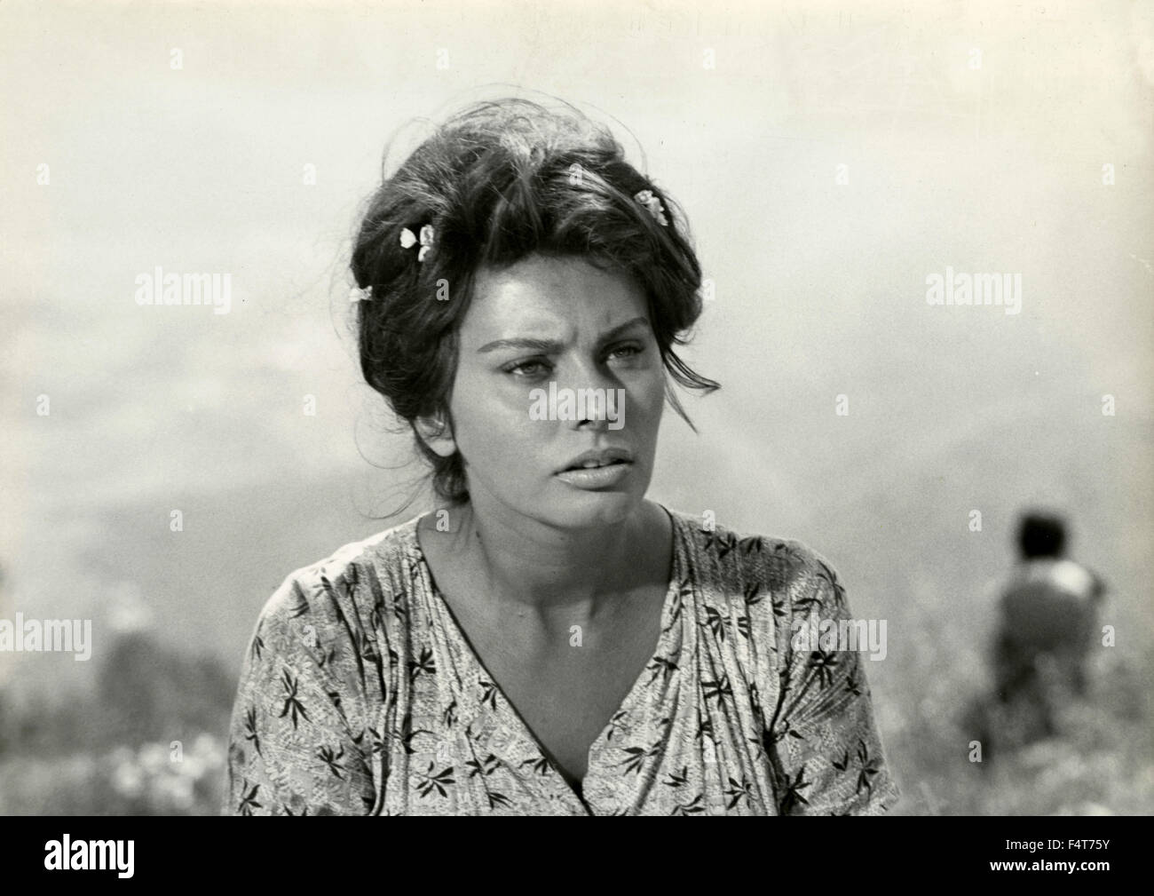 L'actrice italienne Sophia Loren Banque D'Images