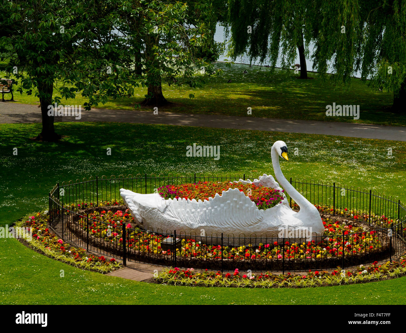 Grandes fleurs ornementales et swan à Stapenhill Jardins a riverside parc public à Burton upon Trent Staffordshire England UK Banque D'Images