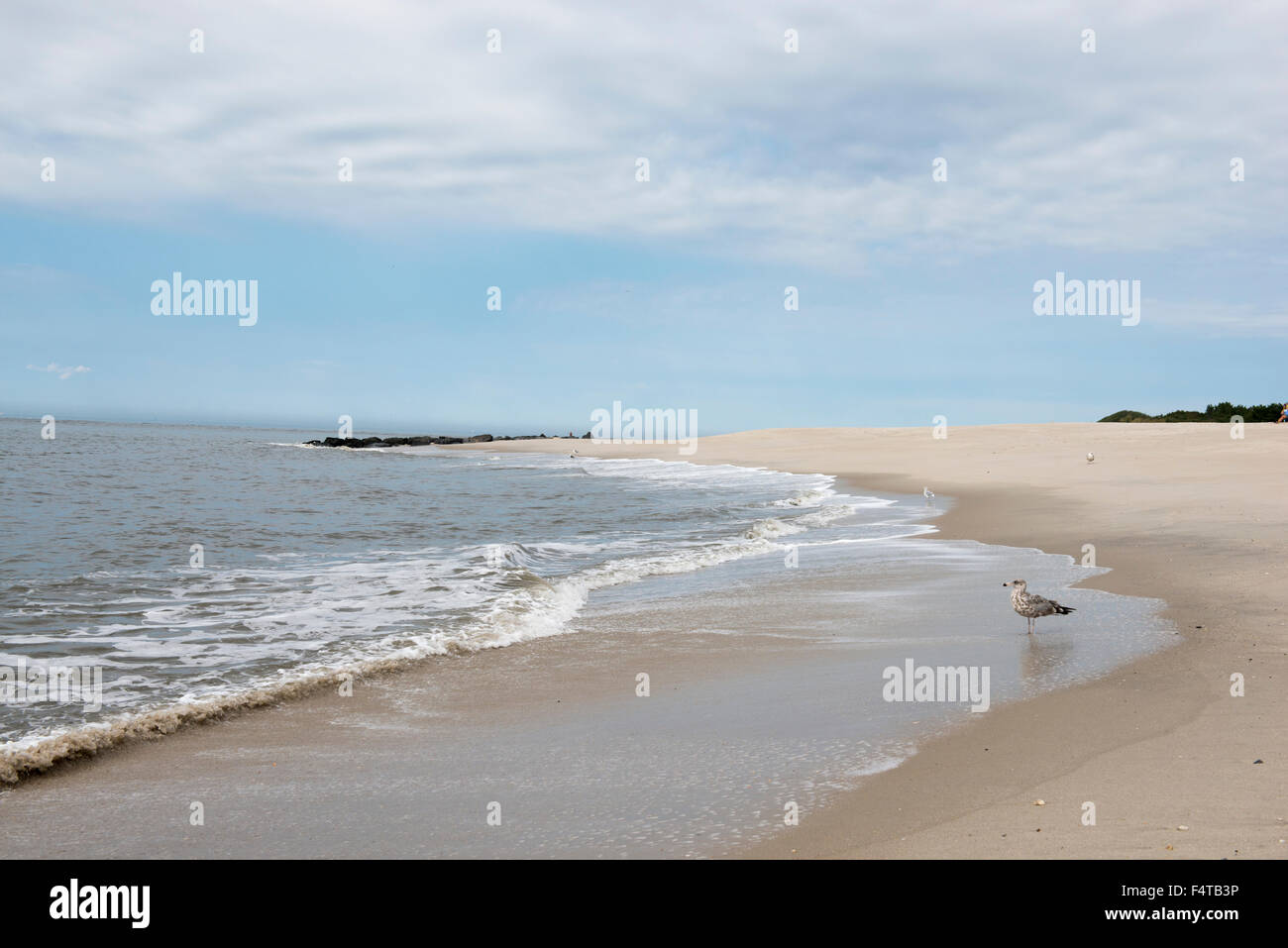La plage de Cape May Point, New Jersey, USA Banque D'Images