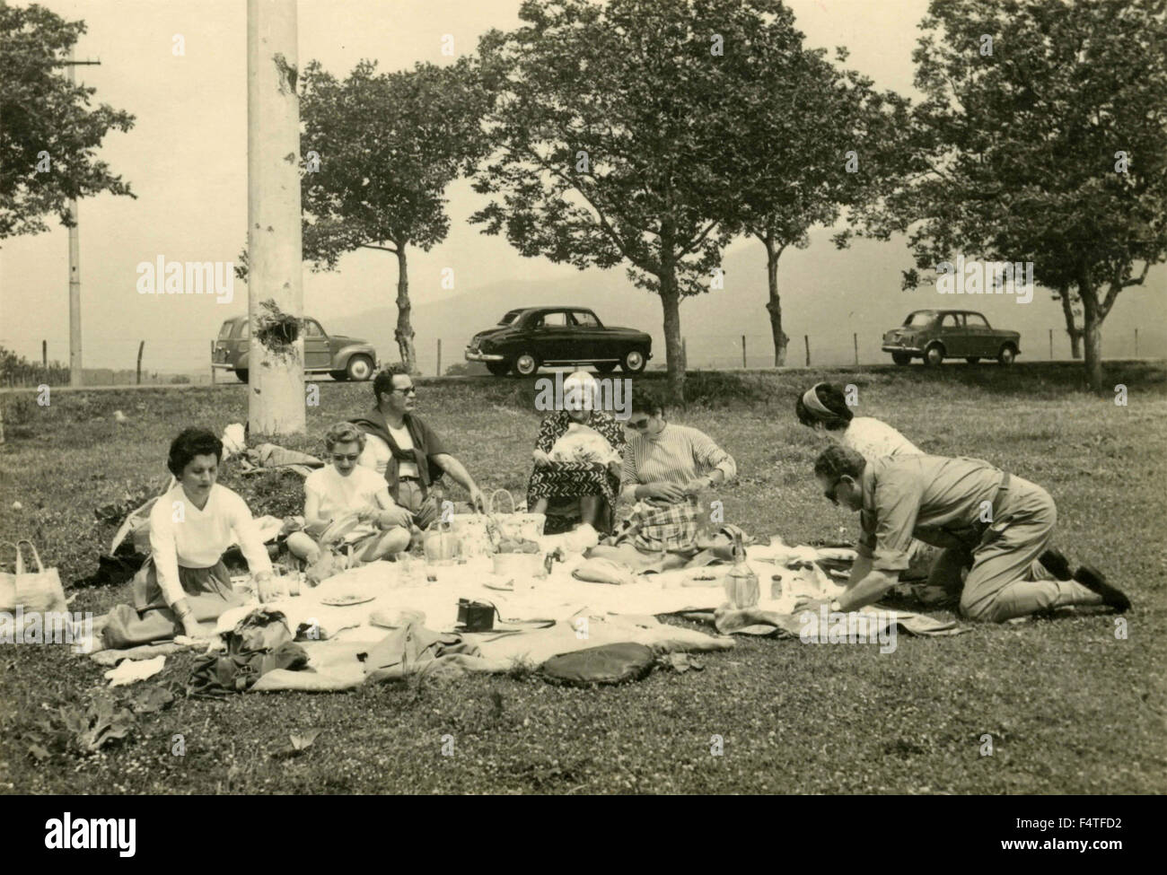 Groupe familial à un pique-nique Banque D'Images