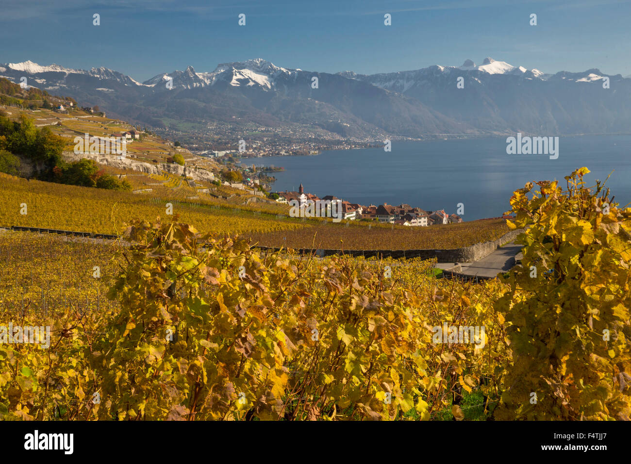 Village Rivaz VD sur le lac de Genève à l'automne, Banque D'Images